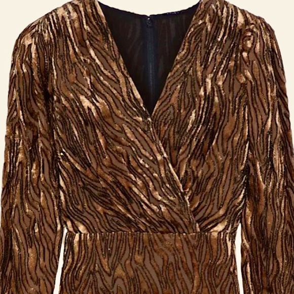 Anthropologie Amit Devoré-Velvet Peplum Blouse. Size Small. NWOT - Picture 7 of 8